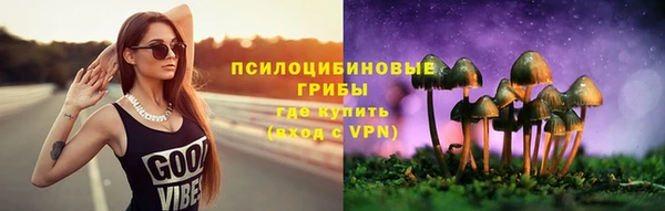 амф Россошь