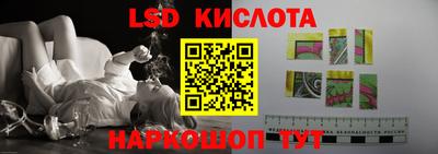 гидропоника Новодвинск
