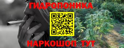 гидропоника Новодвинск