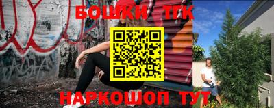 скорость Новозыбков