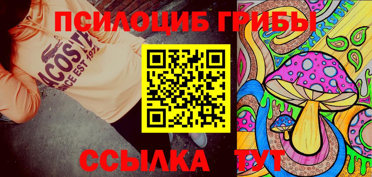Псилоцибиновые грибы мицелий Волоколамск